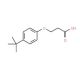 3-(4-tert-Butyl-phenoxy)-propionic acid (CAS 23067-72-3) - chemical structure image