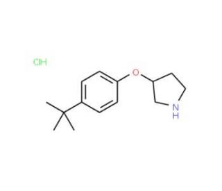 3-[4-(tert-Butyl)phenoxy]pyrrolidine hydrochloride - chemical structure image