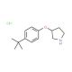 3-[4-(tert-Butyl)phenoxy]pyrrolidine hydrochloride - chemical structure image