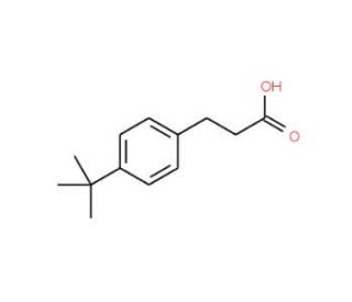 3-(4-tert-Butylbenzene)propionic Acid (CAS 1208-64-6) - chemical structure image