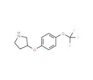 3-[4-(Trifluoromethoxy)phenoxy]pyrrolidine (CAS 946715-68-0) - chemical structure image