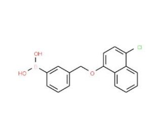 3-[(4&prime;-Chloro-1-naphthyloxy)methyl]phenylboronic acid (CAS 1218790-90-9) - chemical structure image