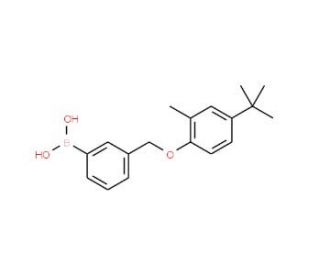 3-[(4&prime;-tert-Butyl-2&prime;-methylphenoxy)methyl]phenylboronic acid (CAS 1072951-66-6) - chemical structure image
