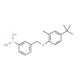 3-[(4′-tert-Butyl-2′-methylphenoxy)methyl]phenylboronic acid (CAS 1072951-66-6) - chemical structure image