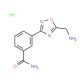 3-[5-(Aminomethyl)-1,2,4-oxadiazol-3-yl]benzamidehydrochloride - chemical structure image