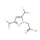 (3,5-Bis-difluoromethyl-pyrazol-1-yl)-acetic acid - chemical structure image