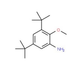 3,5-di-tert-butyl-2-methoxyaniline (CAS 893397-17-6) - chemical structure image