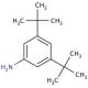 3,5-Di-tert-butylaniline (CAS 2380-36-1) - chemical structure image