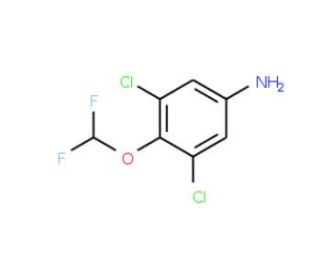 3,5-dichloro-4-(difluoromethoxy)aniline - chemical structure image