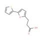 3-(5-Thiophen-2-yl-furan-2-yl)-propionic acid (CAS 24090-38-8) - chemical structure image