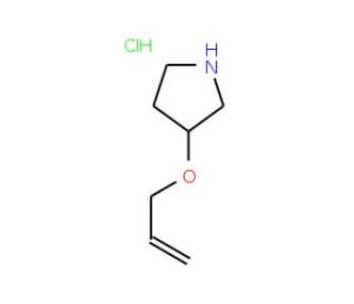 3-(Allyloxy)pyrrolidine hydrochloride - chemical structure image