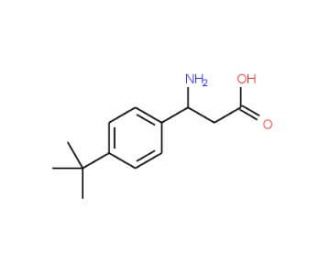 3-Amino-3-[4-(tert-butyl)phenyl]propanoic acid (CAS 282524-82-7) - chemical structure image
