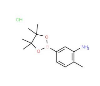 3-Amino-4-methylphenylboronic acid, pinacol ester, HCl (CAS 850567-52-1) - chemical structure image