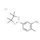 3-Amino-4-methylphenylboronic acid, pinacol ester, HCl (CAS 850567-52-1) - chemical structure image