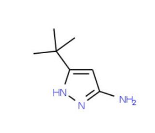 3-Amino-5-tert-butyl-1H-pyrazole (CAS 82560-12-1) - chemical structure image