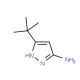 3-Amino-5-tert-butyl-1H-pyrazole (CAS 82560-12-1) - chemical structure image