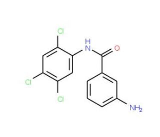 3-Amino-N-(2,4,5-trichlorophenyl)benzamide - chemical structure image