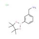 3-Aminomethylphenylboronic acid, pinacol ester, HCl (CAS 380430-65-9) - chemical structure image