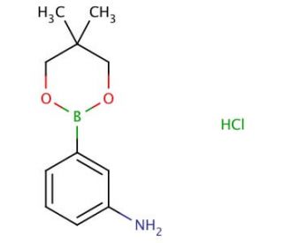 3-Aminophenylboronic acid, neopentyl glycol ester, HCl (CAS 850567-43-0) - chemical structure image