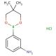 3-Aminophenylboronic acid, neopentyl glycol ester, HCl (CAS 850567-43-0) - chemical structure image