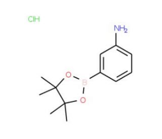 3-Aminophenylboronic acid, pinacol ester, HCl (CAS 850567-51-0) - chemical structure image