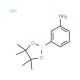 3-Aminophenylboronic acid, pinacol ester, HCl (CAS 850567-51-0) - chemical structure image