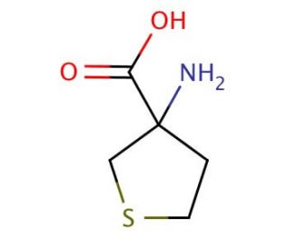 3-aminothiolane-3-carboxylic acid (CAS 32418-99-8) - chemical structure image