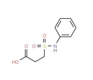 3-(anilinosulfonyl)propanoic acid - chemical structure image