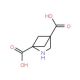 3-azabicyclo[2.1.1]hexane-1,4-dicarboxylic Acid - chemical structure image