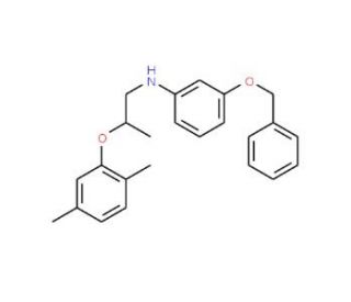 3-(Benzyloxy)-N-[2-(2,5-dimethylphenoxy)propyl]-aniline - chemical structure image