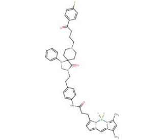 3-Bodipy-propanoic Acid N-Phenethylspiperone Amide (CAS 121086-10-0) - chemical structure image