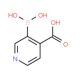 3-Boronoisonicotinic acid (CAS 1072946-05-4) - chemical structure image