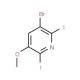 3-Bromo-2,6-diiodo-5-methoxypyridine - chemical structure image
