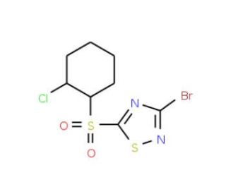 3-Bromo-5-(2-chlorocyclohexylsulfonyl)-1,2,4-thiadiazole - chemical structure image