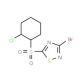 3-Bromo-5-(2-chlorocyclohexylsulfonyl)-1,2,4-thiadiazole - chemical structure image
