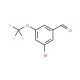 3-Bromo-5-(trifluoromethoxy)benzaldehyde (CAS 886498-07-3) - chemical structure image