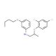 3-Butoxy-N-[2-(2,4-dichlorophenoxy)propyl]aniline - chemical structure image