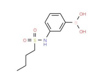 3-(Butylsulfonamido)phenylboronic acid (CAS 1072945-65-3) - chemical structure image