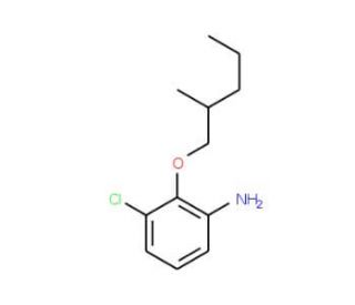 3-Chloro-2-[(2-methylpentyl)oxy]aniline - chemical structure image
