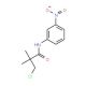 3-Chloro-2,2-dimethyl-N-(3-nitrophenyl)propanamide - chemical structure image