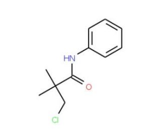 3-chloro-2,2-dimethyl-N-phenylpropanamide (CAS 82820-74-4) - chemical structure image