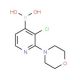 3-Chloro-2-morpholinopyridine-4-boronic acid (CAS 957061-04-0) - chemical structure image