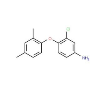 3-Chloro-4-(2,4-dimethylphenoxy)aniline - chemical structure image