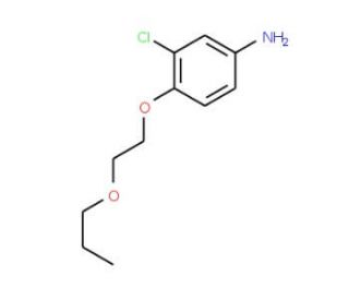 3-Chloro-4-(2-propoxyethoxy)aniline - chemical structure image