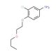 3-Chloro-4-(2-propoxyethoxy)aniline - chemical structure image