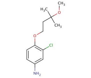 3-Chloro-4-(3-methoxy-3-methyl-butoxy)-phenylamine - chemical structure image