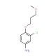 3-Chloro-4-(3-methoxypropoxy)phenylamine - chemical structure image