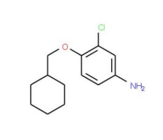 3-Chloro-4-(cyclohexylmethoxy)aniline - chemical structure image