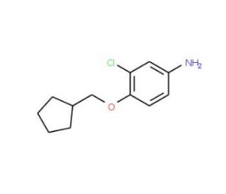 3-Chloro-4-(cyclopentylmethoxy)aniline - chemical structure image