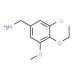 (3-chloro-4-ethoxy-5-methoxyphenyl)methanamine - chemical structure image